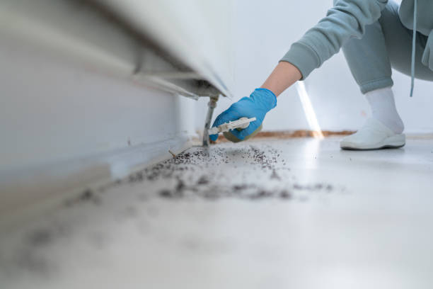 Best Pest Prevention Services  in Whitney, SC
