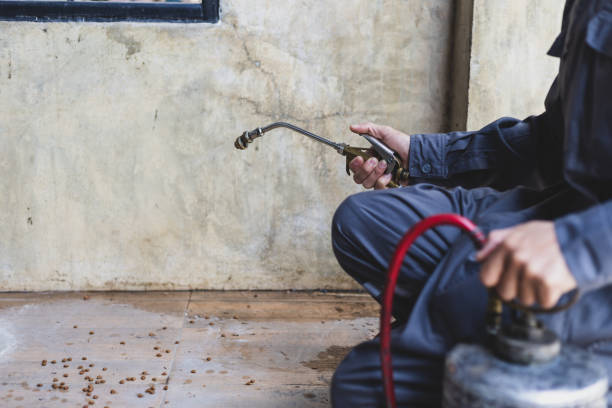 Best Wasp Removal Services  in Whitney, SC
